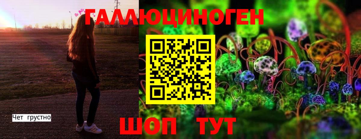 Конаково  Псилоцибиновые грибы ЛСД  Вход с VPN 